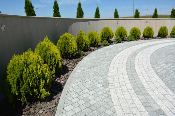 Best Best Driveway Pavers  in Courtland, VA